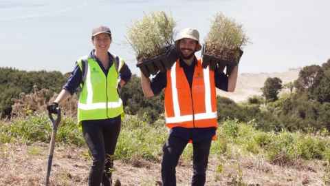 Volunteer tree planting conservation project